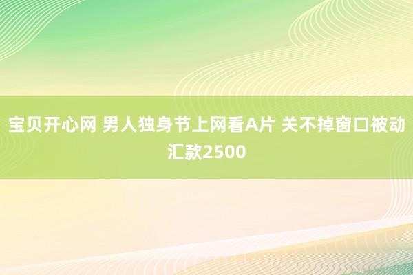宝贝开心网 男人独身节上网看A片 关不掉窗口被动汇款2500