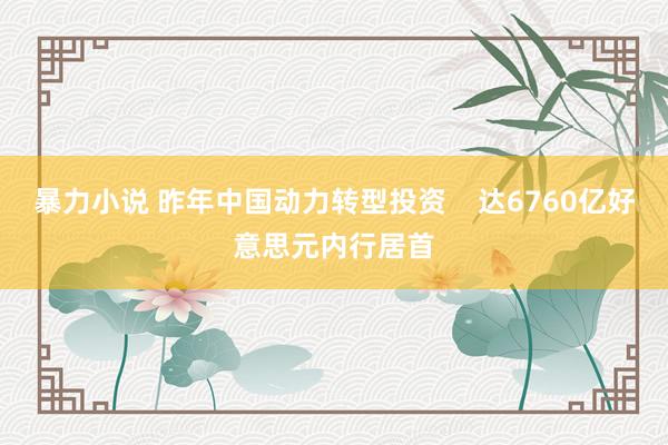 暴力小说 昨年中国动力转型投资    达6760亿好意思元内行居首
