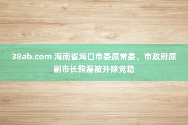 38ab.com 海南省海口市委原常委、市政府原副市长鞠磊被开除党籍