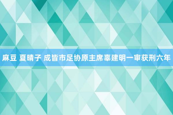 麻豆 夏晴子 成皆市足协原主席辜建明一审获刑六年