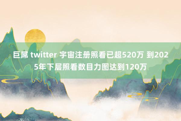 巨屌 twitter 宇宙注册照看已超520万 到2025年下层照看数目力图达到120万