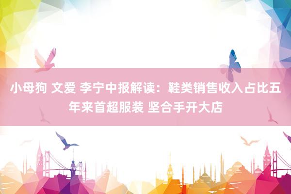 小母狗 文爱 李宁中报解读：鞋类销售收入占比五年来首超服装 坚合手开大店