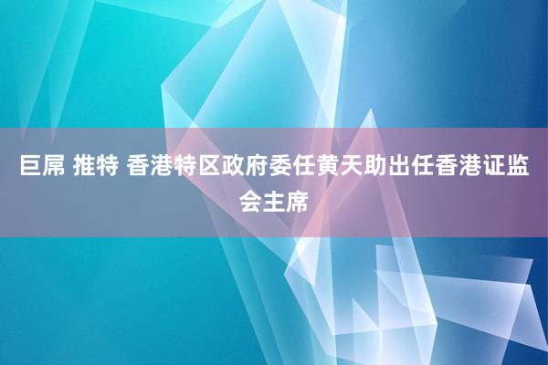 巨屌 推特 香港特区政府委任黄天助出任香港证监会主席