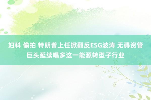 妇科 偷拍 特朗普上任掀翻反ESG波涛 无碍资管巨头延续唱多这一能源转型子行业