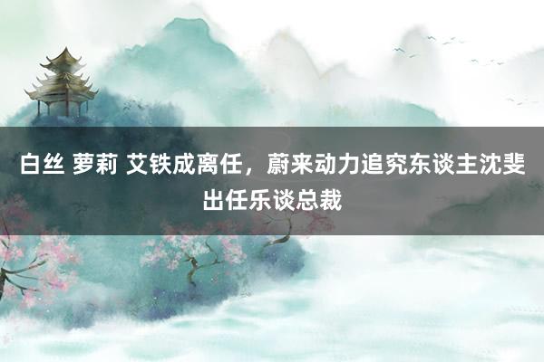 白丝 萝莉 艾铁成离任，蔚来动力追究东谈主沈斐出任乐谈总裁